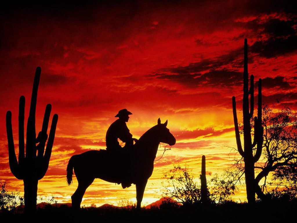 CowboyFavorites.com Sunset Rider with Cactus