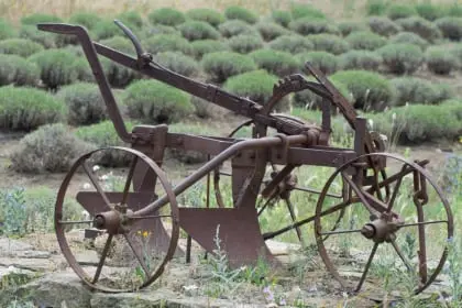 CowboyFavorites.com Antique Plow Image