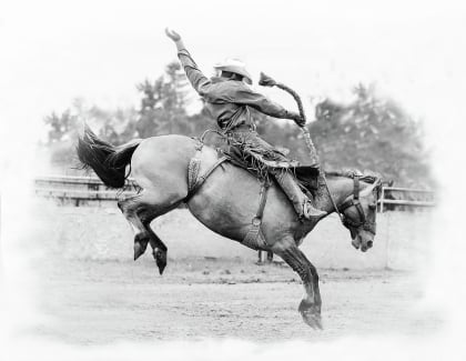 CowboyFavorites.com Sarly and the Dandy Image
